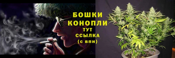 соль ск Белокуриха