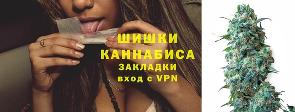 соль ск Белокуриха