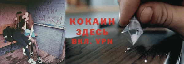 соль ск Белокуриха