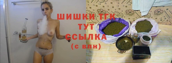 соль ск Белокуриха