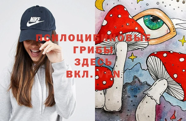 соль ск Белокуриха