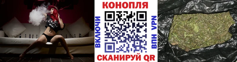 Канабис гибрид Новотитаровская