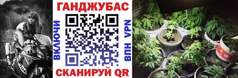 Бошки марихуана план blacksprut как зайти Новотитаровская